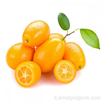 Succo di kumquat puro solubile in acqua biologico al 100% in polvere